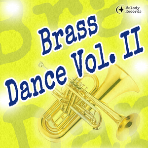 Volksmusikmedley 2