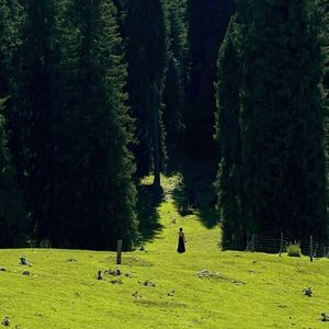 吉拉（beat;MORROW)