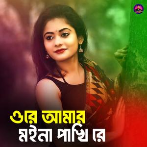 ওরে আমার মইনা পাখি রে