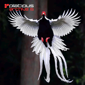 Skuchayu (Original Mix)