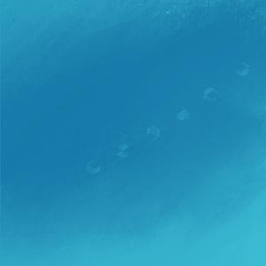 Stream of Dreams
