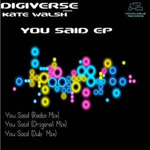 You Said (Radio Mix)