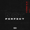 YXNG K.A - Not Perfect