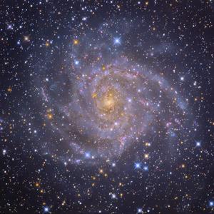 遥远星河不及你
