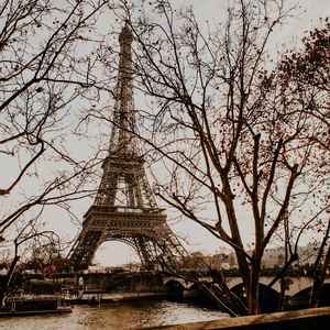 刷题背书轻音乐：橙色森林 (八音盒)