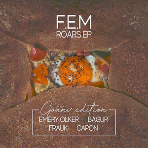 Roars (Emery Olker Remix)