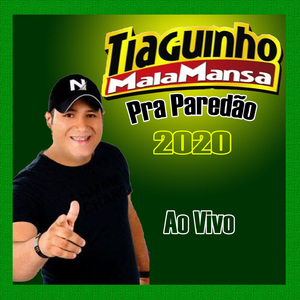 Profissional papudinho - THIAGUINHO E MALA MANSA