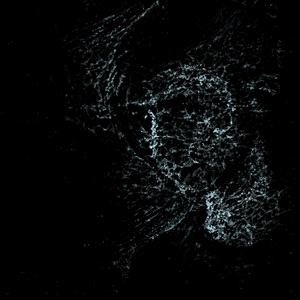 Draining (feat. Isserley)