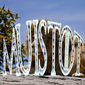 Muistot