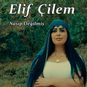 Nasip Değilmiş
