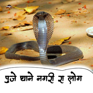 Puje Thane Nagari Ra Log