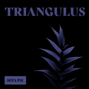 Triangulus