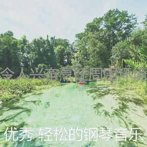 抚慰的健康回忆