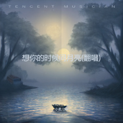 想你的时候问月亮