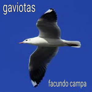 Gaviotas
