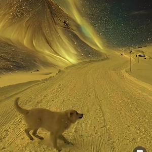 LET GO OF ME,will you