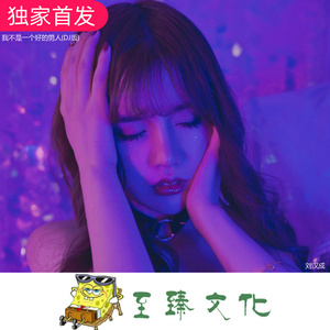 我不是一个好的男人 (Dj版)