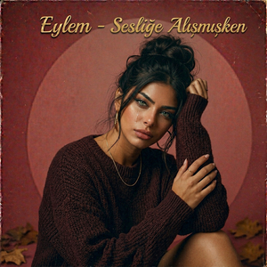 Sessizliğe Alışmışken