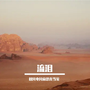 流泪（Prod.No Birthday）