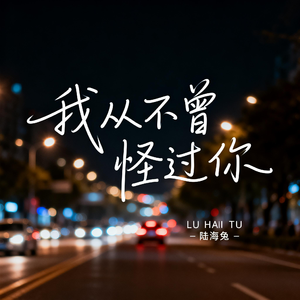 我从不曾怪过你（伤感版）