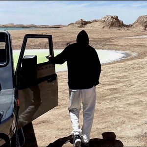 雪绒花（写给辛夷的歌）