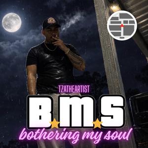 B.M.S ( bothering My Soul )