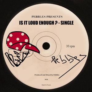 is it loud enough ?