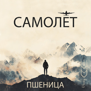 Самолёт