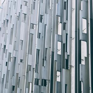 Hyene (feat. Hariry)