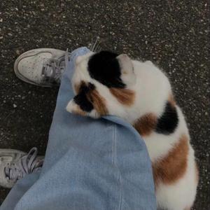 Синее (prod. by sorrow bringer)