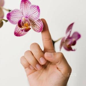 兰花指 (Cover 阿里郎)