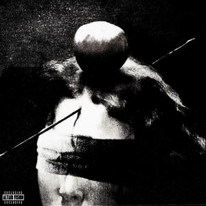 c*****e (feat. spiderwick)