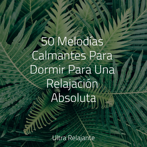 Acogedora Cabaña