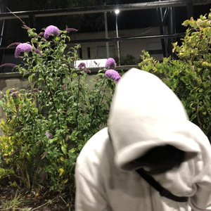 Besos para el Dolor de Cabeza