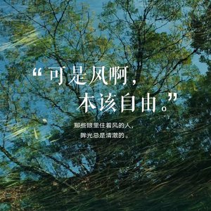 风雨里