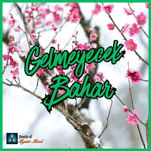 GELMEYECEK BAHAR
