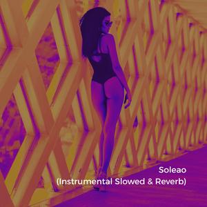 Soleao (Instrumental Slowed)