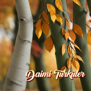 Gide Gide Bir Söğüde Dayandım