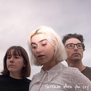 Scream When You Cry