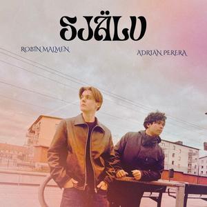 Själv (feat. Robin Malmen)