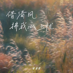 借清风抚我心上忧