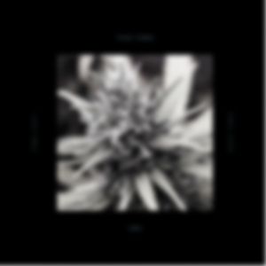 High Times