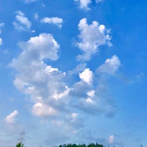 挪威的森林—溯簌的时光