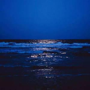 就让我在春风沉醉的夜晚老去（弹唱片段）