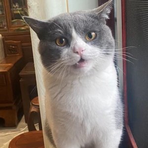 迎着光再走一步