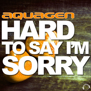 Hard to Say I'm Sorry (Scott Brown Remix)