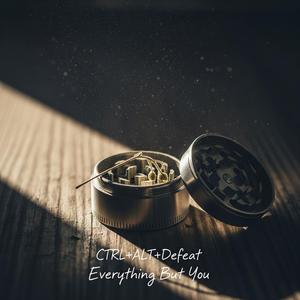Everything But You