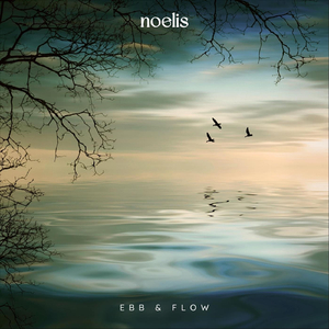 Ebb & Flow