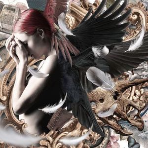 羽 《Live Version》