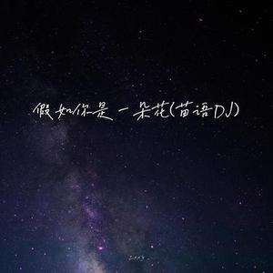 假如你是一朵花 (苗语DJ)